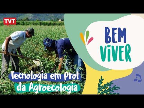 Agroecologia em Rede é tema do programa Bem Viver